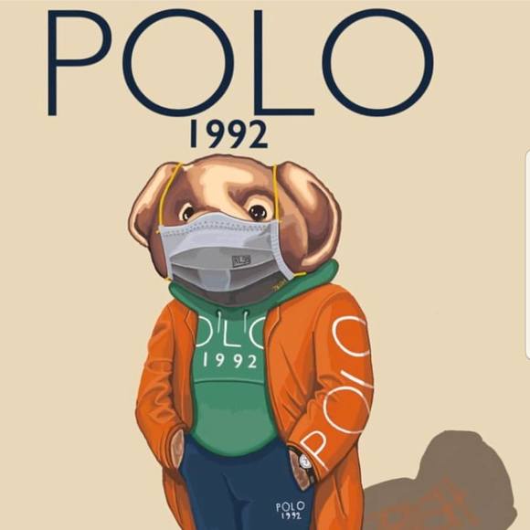 Meet your Posher, Vincent - Picture 1 of 1